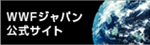 WWFジャパン公式サイト